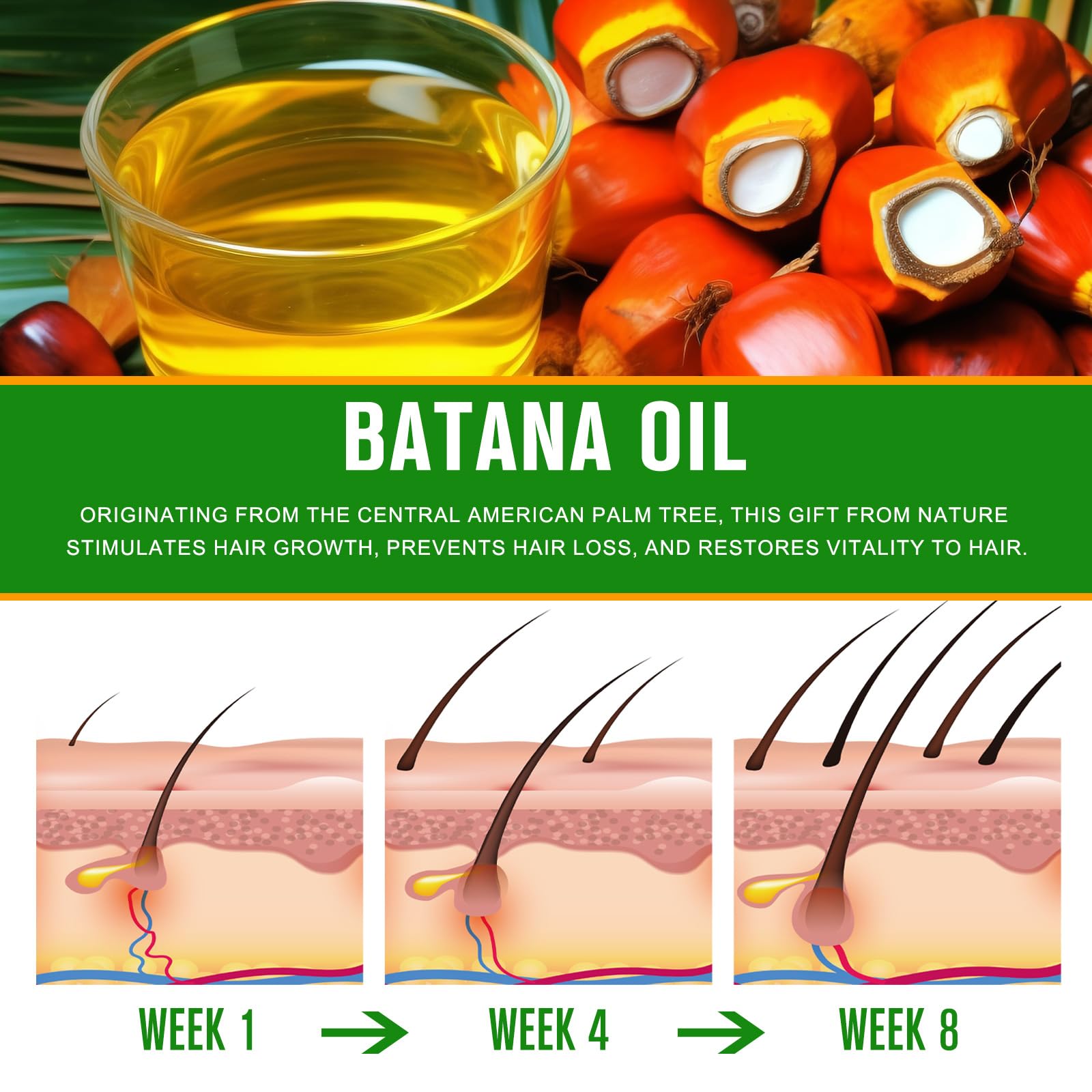 Dvoevivh Batana Oil for Hair Growth - Pure Organic Natural and Cold Pressed Hair Oil for Hydrating & Repairing Dry, Damaged Hair Skin Care, Face, Body
